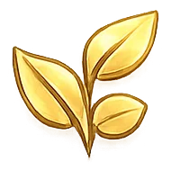 icon5
